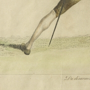 James Gwin (c.1700-1769) 