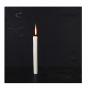 曼努埃尔·维拉里尼奥·塞科（1952）《蜡烛》