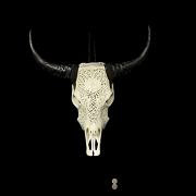 Carved water buffalo skull, 20th century