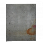 Album of prints entitled ‘Flowers and Birds’ signed by Bada Shanren
