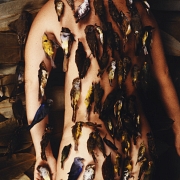 Cecilia Paredes (1950) “El Sueño”, 2005