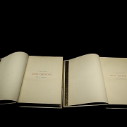Two volumes of ‘The Ingenious Gentleman Don Quixote of La Mancha’, circa 1880