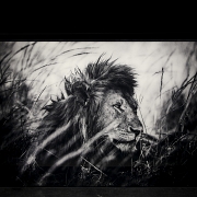Laurent Baheux (1970)