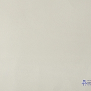 何塞·贝迪亚 José Bedia（1959-）《草地上的圣母》，2004年