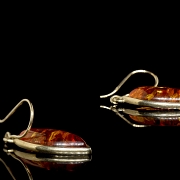Pareja de pendientes de oro amarillo y ámbar