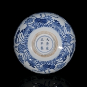 Plato de porcelana 