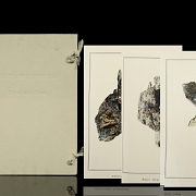 米格尔·安赫尔·布兰科 Miguel Angel Blanco《石头花》,2003年