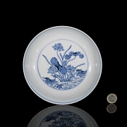 Plato de porcelana 