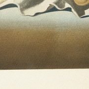 Salvador Dalí (1904-1989) 