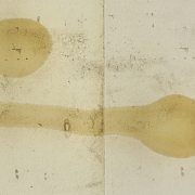 帕科·阿吉拉尔·阿吉拉 Paco Aguilar Aguila (1959), 