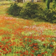 Francesc Vidal Vives (1957) ‘Field of Poppies’