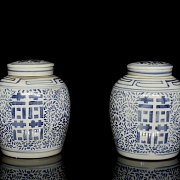 Pareja de tarros de jengibre