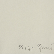 布兰卡·穆尼奥斯·冈萨洛 Blanca Muñoz Gonzalo (1963) 《分歧者》,2005