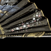 黑丝木扇，20世纪