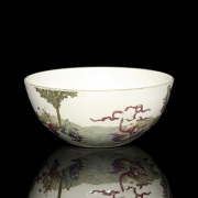 Cuenco de porcelana esmaltada