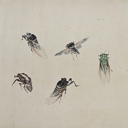 Chinese painting ‘Insects and Calligraphy’, signed Jiang Hanting