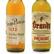 Dos botellas de brandy 
