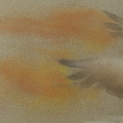 Alex Alemany (1943–2021) ‘Pigeon’