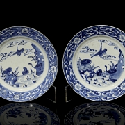 Pareja de platos de porcelana 
