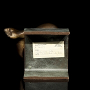 Francisco Luque Palma (1948) ‘Bronze 3/3’