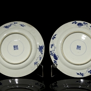 Pareja de platos de porcelana 