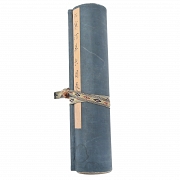 Pintura china “Insectos y caligrafía”, con firma Jiang Hanting - 10