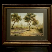 马丁内斯·阿拉克 Martínez Araque “阿尔博莱达” , 20世纪 - 5