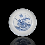 Plato de porcelana 