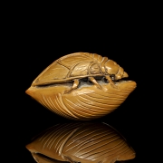 Wood carving ‘Cicada on a leaf’, 20th century - 1