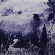 Laurent Baheux (1970)
