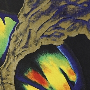 Zoltán Gábor Fodor-Lengyel (1963) “Perfumed Colors,” 2003