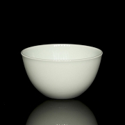 White porcelain bowl, with Kangxi mark