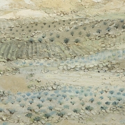 Vicente Peris (1943)