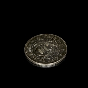 Dólar de plata 