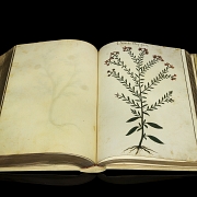 Jacobus Honoratus Pomar ‘Atlas of Natural History’, 1990 - 3