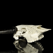 Carved water buffalo skull, 20th century - 5