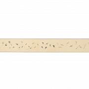 Chinese painting ‘Insects and Calligraphy’, signed Jiang Hanting