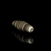 Antique natural agate Dzi beads - 2