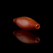 Cuenta Dzi de ágata roja, dinastía Liao