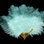 Fan with sky blue feathers, 20th century
