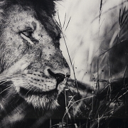 Laurent Baheux (1970)