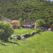 Salvador Llosá I Selvi (1962) 