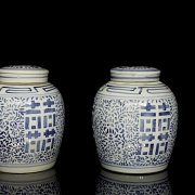 Pareja de tarros de jengibre