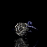 Ancient carved black agate bead - 3