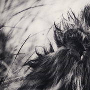 Laurent Baheux (1970)