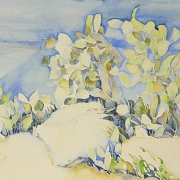 Fernando Blum (s.XX) 