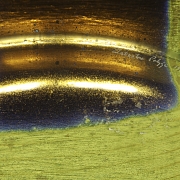 Salvatore Polizzi (1971-) ‘Glass Plate with Circles of Life’, 1995 - 5