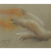 Alex Alemany (1943–2021) ‘Pigeon’