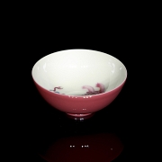 Taza de porcelana esmaltada