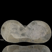 费尔南多·贝尔韦尔·昌戈 Fernando Bellver Chango（1954）《蓬乱》，2003